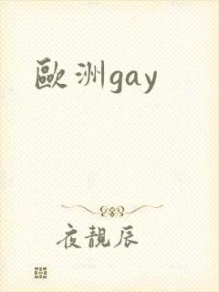 欧洲gay