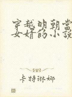 穿越明朝当朱棣女婿的小说