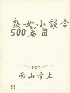 熟女小说合集乱500篇目