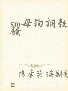 sm母狗调教发骚