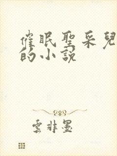 催眠圣采儿恶堕的小说