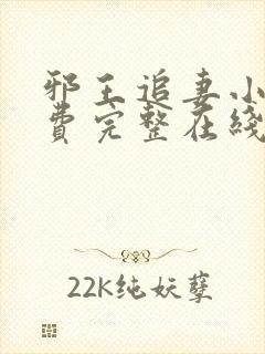 邪王追妻小说免费完整在线阅读