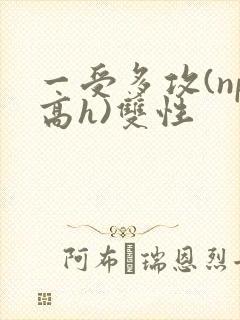 一受多攻(np高h)双性