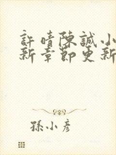 许晴陈诚小说最新章节更新时间封面