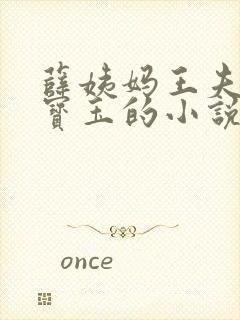 薛姨妈王夫人贾宝玉的小说封面