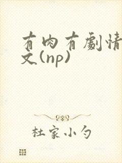 有肉有剧情的h文(np)