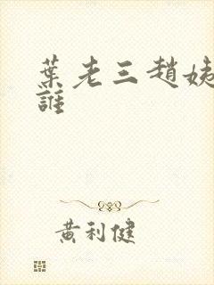 叶老三赵姨娘是谁封面