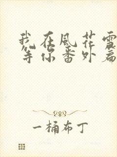 我在风花雪月里等你番外篇封面