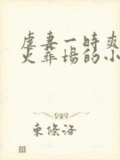 虐妻一时爽追妻火葬场的小说现言