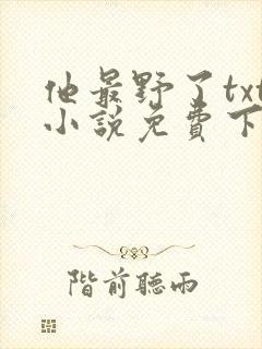 他最野了txt小说免费下载
