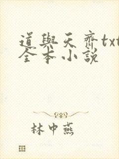 道与天齐txt全本小说
