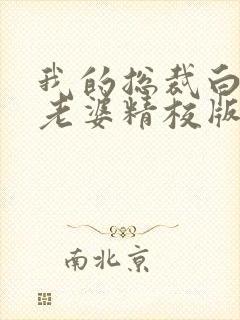 我的总裁白富美老婆精校版全本txt封面