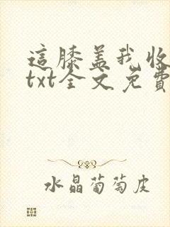 这膝盖我收下了txt全文免费下载