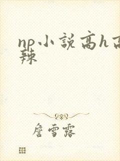 np小说高h高辣封面