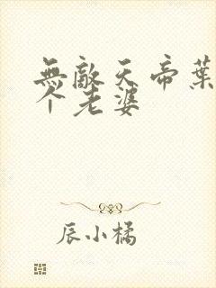 无敌天帝叶凡几个老婆