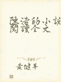 陈浩的小说免费阅读全文