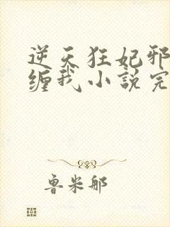 逆天狂妃邪王别缠我小说完整版本