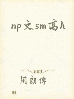 np文sm高h