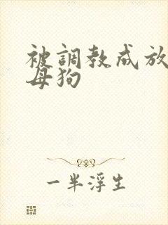 被调教成放荡小母狗封面