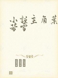 小说主角叶凡唐若雪