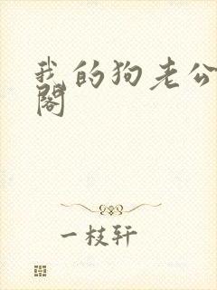 我的狗老公笔趣阁