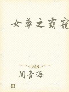 女尊之霸宠夫郎