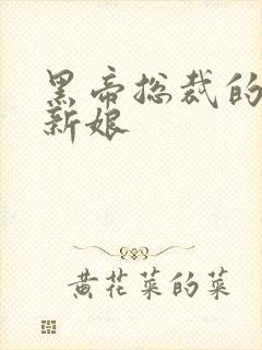 黑帝总裁的替嫁新娘