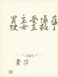 男主受伤在乡下被女主救了