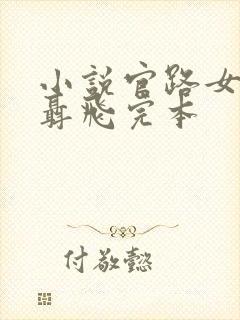 小说官路女人香聂飞完本
