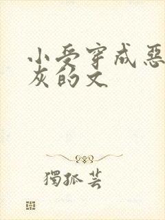 小受穿成恶毒炮灰的文