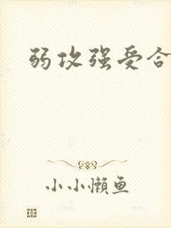 弱攻强受合集封面