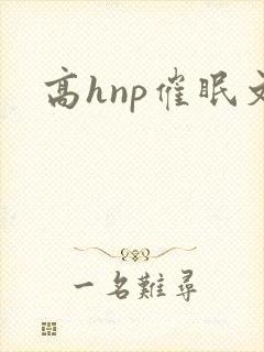 高hnp催眠文