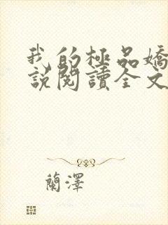 我的极品娇妻小说阅读全文免费