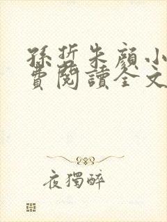 孙哲朱颜小说免费阅读全文最新章节