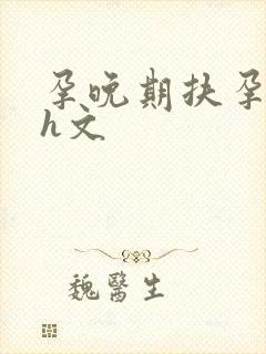 孕晚期扶孕肚做h文