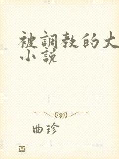 被调教的大小姐小说