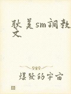 耿美sm调教宠文