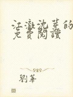 江澈沈芽的小说免费阅读