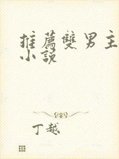 推荐双男主重生小说