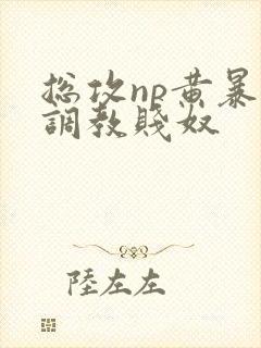 总攻np黄暴贱调教贱奴