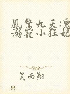 凤惊九天:鬼帝溺宠小狂妃