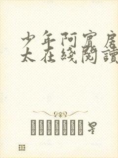 少年阿宾房东太太在线阅读