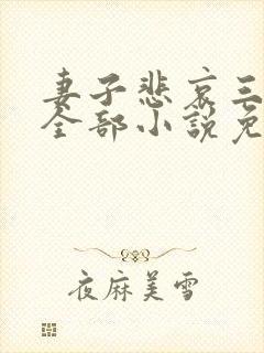 妻子悲哀三部曲全部小说免费阅读