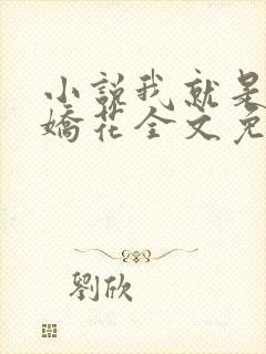 小说我就是如此娇花全文免费阅读