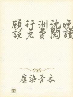 顾行洲沈晚宁小说免费阅读最新章节封面