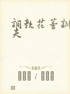 调教花蒂训诫从夫