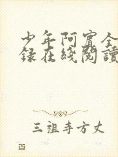 少年阿宾全文目录在线阅读