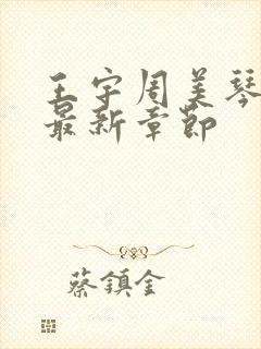 王宇周美琴小说最新章节