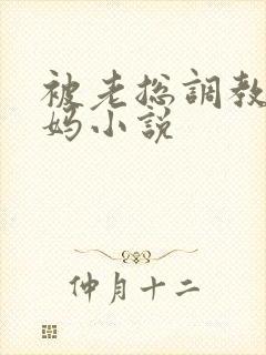 被老总调教的妈妈小说