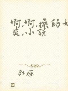 啊,啊,操的好爽,小说封面